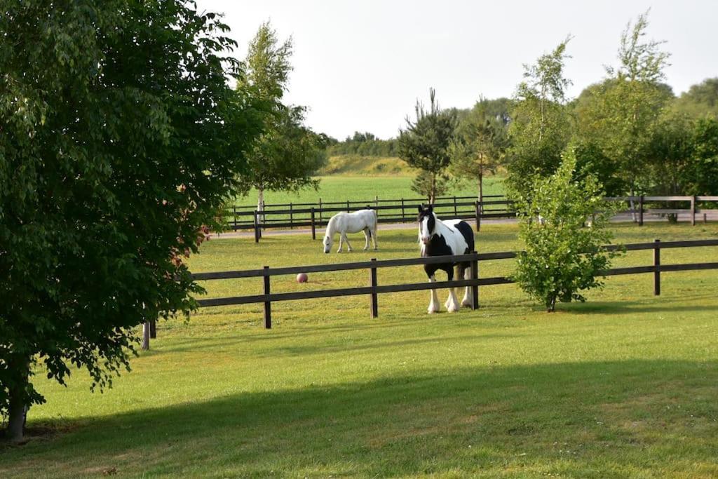 Willa 18Th Century 3 Bed Barn- Beautifully Converted Frithville Zewnętrze zdjęcie